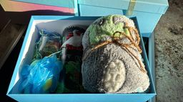 Surprise Gift Box - 🦖 jnr dinosaur