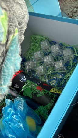 Surprise Gift Box - 🦖 jnr dinosaur