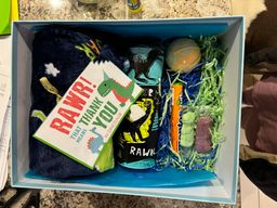 Surprise Gift Box - 🦕 Dinosaur