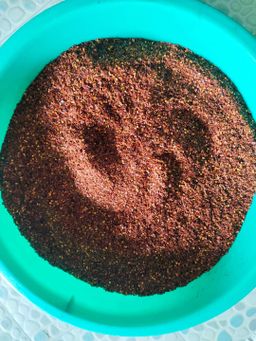 စွဲနေပြီ_ငပိကြော်