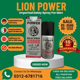 LION POWER 28000