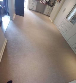 Carpets Deep Cleaning 