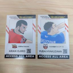 Haikyuu x V.League Officizl ID Photocard Set