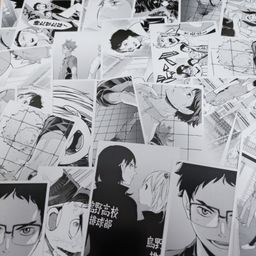 Haikyuu Official 10th Chronicle Random Photo (2pcs)