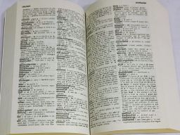 Dictionnaire Allemand Bilingue