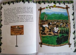 Pokou la princesse aux larmes magiques, la forêt en danger (Franck Kone)  - 6ieme