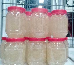 ရွှေဆင့်_ဝါးပလုတ် (ခ) ဝါးဂျယ်လီ