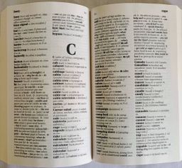 Larousse Anglais/Français de Poche (Dictionnaire Anglais)