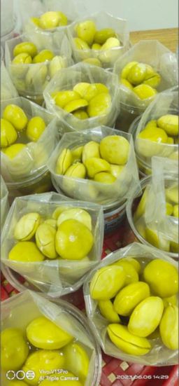 ရွှေဆင့်_ဒညင်းသီး/သရက်သီး/မရမ်းသီး ဆားရည်စိမ်