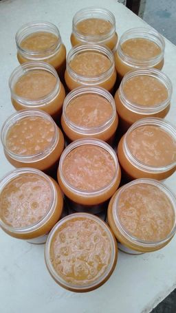 ရွှေဆင့်_ဓနိ-ပျား