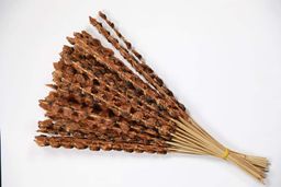 ရွှေဆင့်_ပင်လယ်စာခြောက်