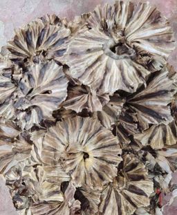 ရွှေဆင့်_ပင်လယ်စာခြောက်