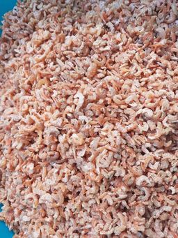 ရွှေဆင့်_ရွှေပုစွန်ခြောက် (အချိုခြောက်) Collection