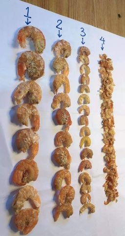 ရွှေဆင့်_ရွှေပုစွန်ခြောက် (အချိုခြောက်) Collection