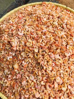 ရွှေဆင့်_ရွှေပုစွန်ခြောက် (အချိုခြောက်) Collection