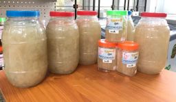 ရွှေဆင့်_ပေသီး