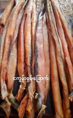 ရွှေဆင့်_ငါး/အသားခြောက် Collection#