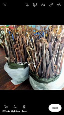 ရွှေဆင့်_ငါး/အသားခြောက် Collection#