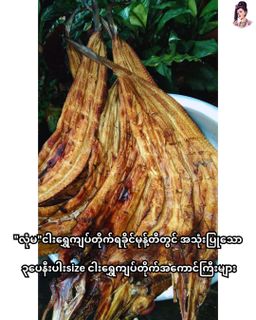 လုံမ_အသင့်စား ငါးရွှေကျပ်တိုက် ရခိုင်မုန့်တီ အနှစ်ထုတ်