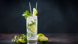 Virgin Mojito