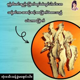 လုံမ_အသင့်စား ငါးရွှေကျပ်တိုက် ရခိုင်မုန့်တီ အနှစ်ထုတ်