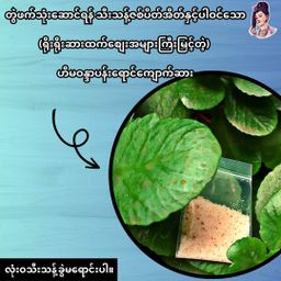 လုံမ_အသင့်စား ငါးရွှေကျပ်တိုက် ရခိုင်မုန့်တီ အနှစ်ထုတ်