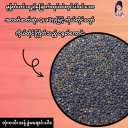 လုံမ_အသင့်စား ငါးရွှေကျပ်တိုက် ရခိုင်မုန့်တီ အနှစ်ထုတ်