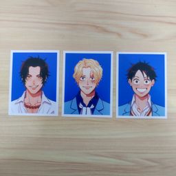 One Piece Fanart ID Photo