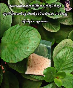 လုံမ_အသင့်စား ကြာဆံချက် အနှစ်ထုတ် (သက်သတ်လွတ်)