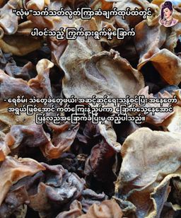 လုံမ_အသင့်စား ကြာဆံချက် အနှစ်ထုတ် (သက်သတ်လွတ်)