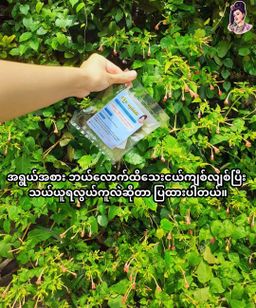 လုံမ_2 in 1 ငပိထောင်း/ပဲငန်အနှစ်ထောင်း (သက်သတ်လွတ်)