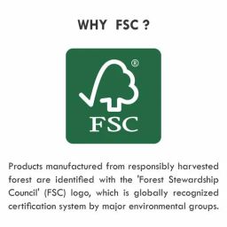 Tulips Eco - Friendly Cotton Ear Buds/Swabs In A PP Jar, 100 pcs PP Jar