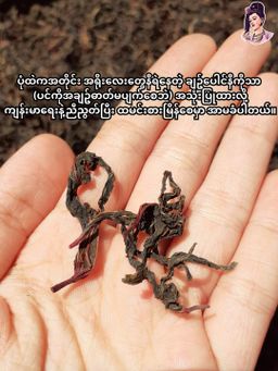 လုံမ_အသင့်စား ရွှေဘိုချဥ်ပေါင်နီအရည်သောက်ဟင်း