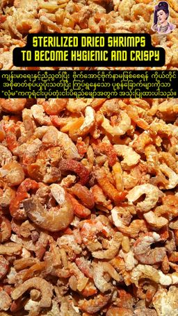 လုံမ_အသင့်စား ကကူရံငါးပုပ်တုံး ငပိရည်ဖျော် 