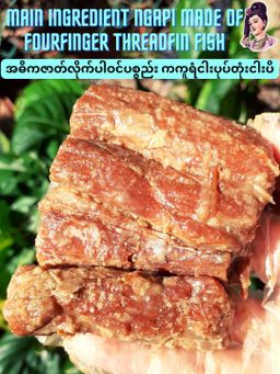 လုံမ_အသင့်စား ကကူရံငါးပုပ်တုံး ငပိရည်ဖျော် 