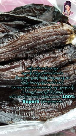 လုံမ_အသင့်စား ငါးကျည်းကျပ်တိုက် ကြာဆံချက် အနှစ်ထုတ်