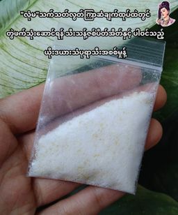 လုံမ_အသင့်စား ငါးတံခွန် / ငါးစုံ ငပိရည်ဖျော်