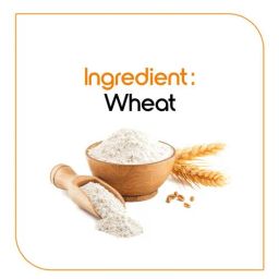 Fortune Maida/Refined Wheat Flour, 1 kg Pouch