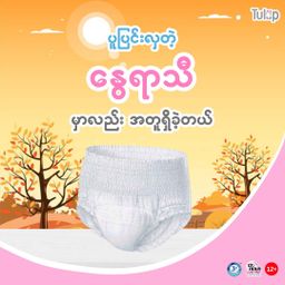 Tulip_Woman Diaper 