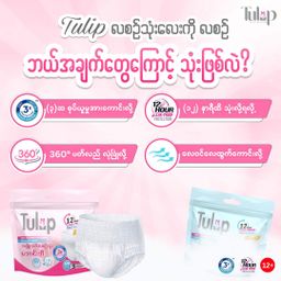 Tulip_Woman Diaper 