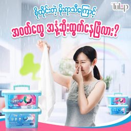 Tulip_Laundry Capsules