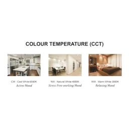 C&S Electric Chandra LED Lamp - Cool Daylight White, Round, 3 Watts, B22 Base, 1 pc