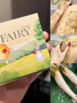 FAIRY Scrub Gluta Soap