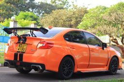 Vinyl wraps/ Paint Protective Films