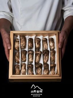 山野金刚 香格里拉 新鲜松茸 7-9cm | Mushroom Hunter Shangri-La Fresh Matsutake Mushroom 7-9cm