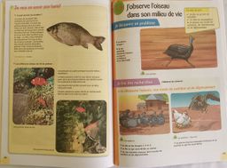 SCIENCES & TECHNOLOGIE (Editions Eburnie) - CM1