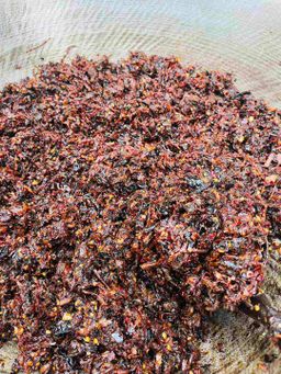 Easy Way_ထန်းတောကြော် Collection