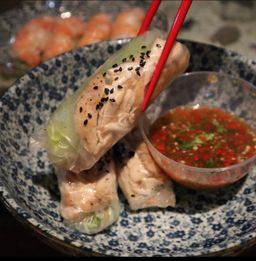 Chicken Vietnamese rolls