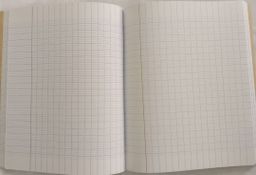 Cahier Séyès 288 pages - Authentik