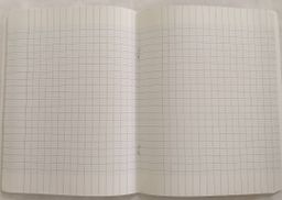 Cahier Séyès 192 pages - Privilège +  9000 de luxe